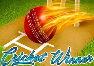 Cricket Winner game icon